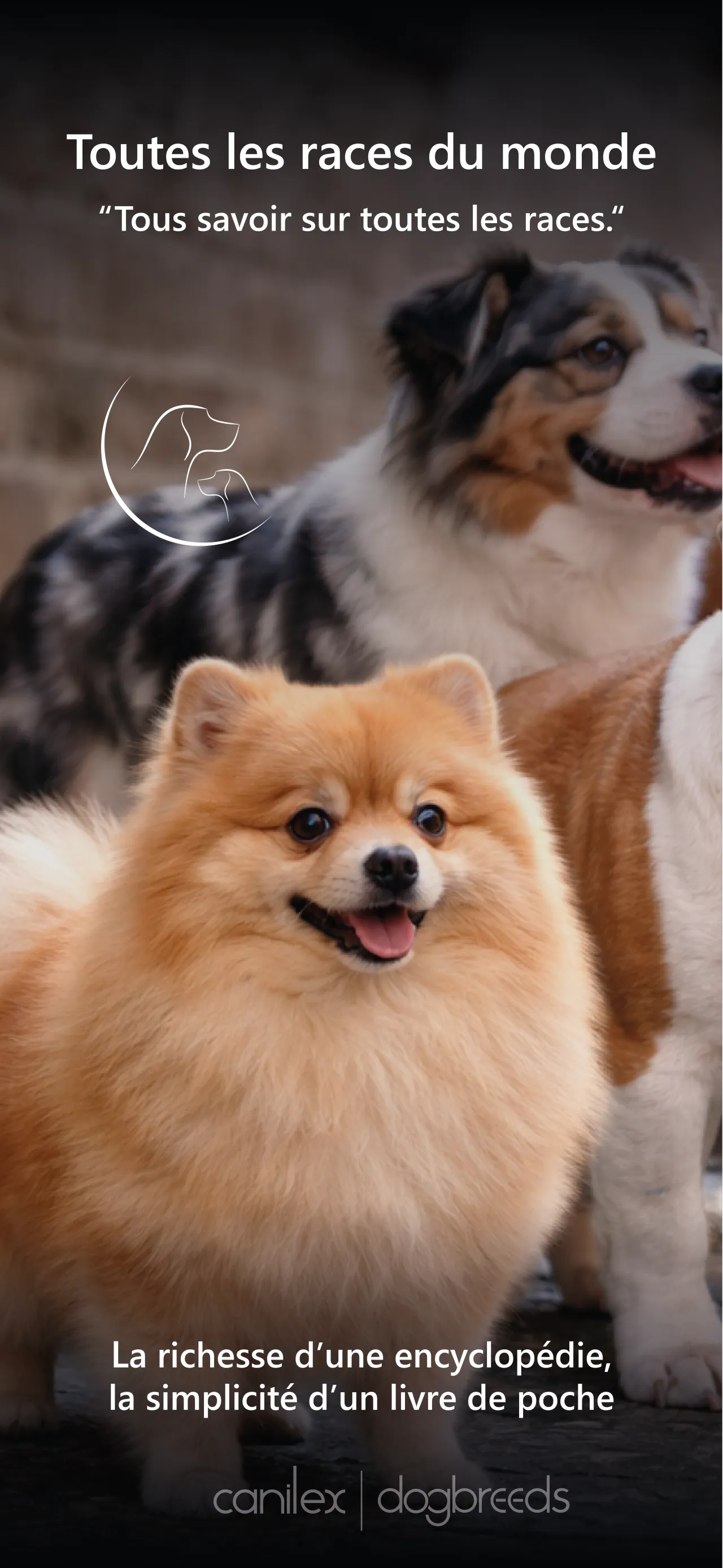 Discover the richness of the canine world. 1
