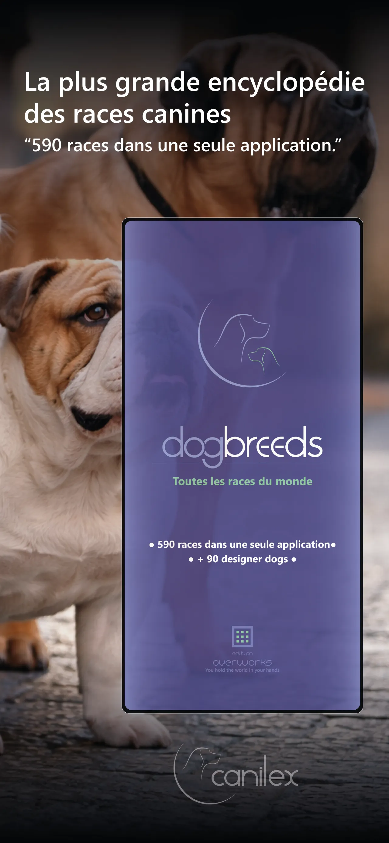 Discover the richness of the canine world. 2
