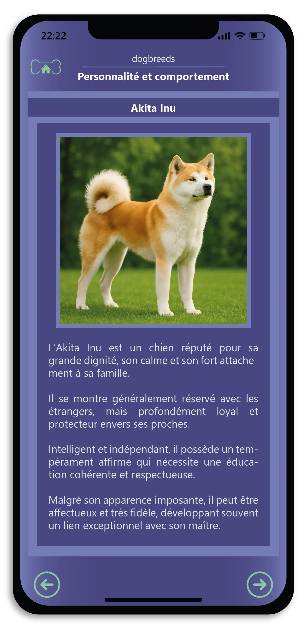 Discover the richness of the canine world. 3