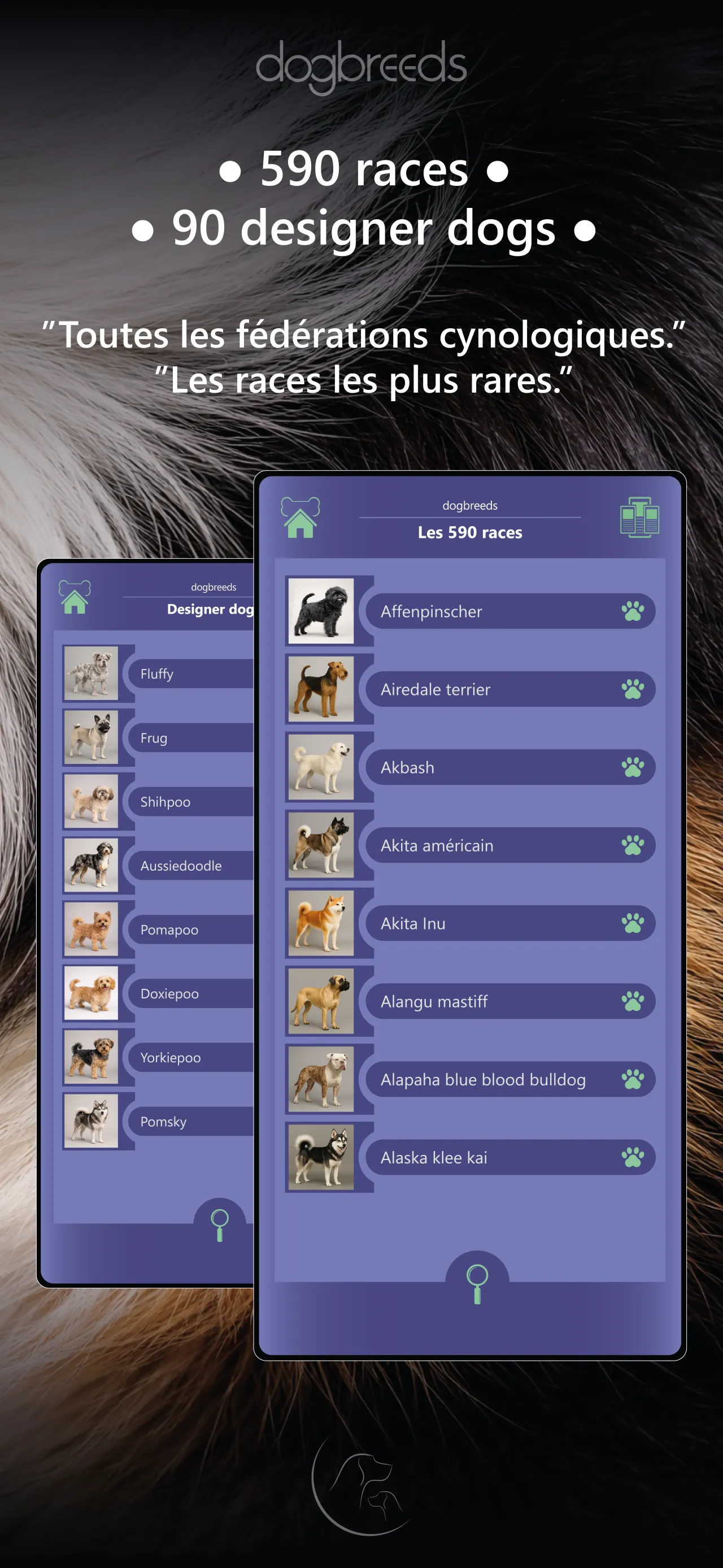 Discover the richness of the canine world. 3