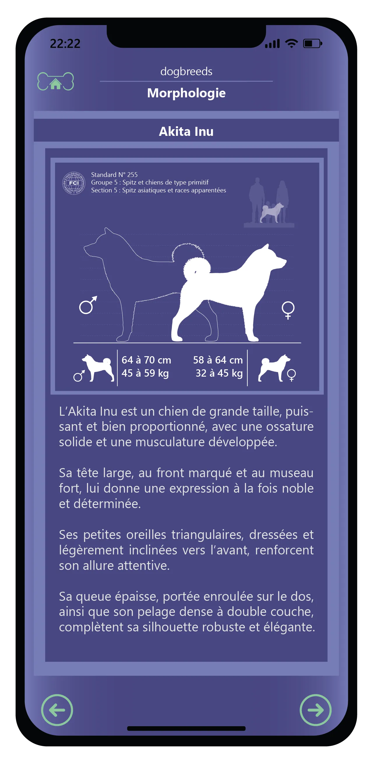 Discover the richness of the canine world. 4