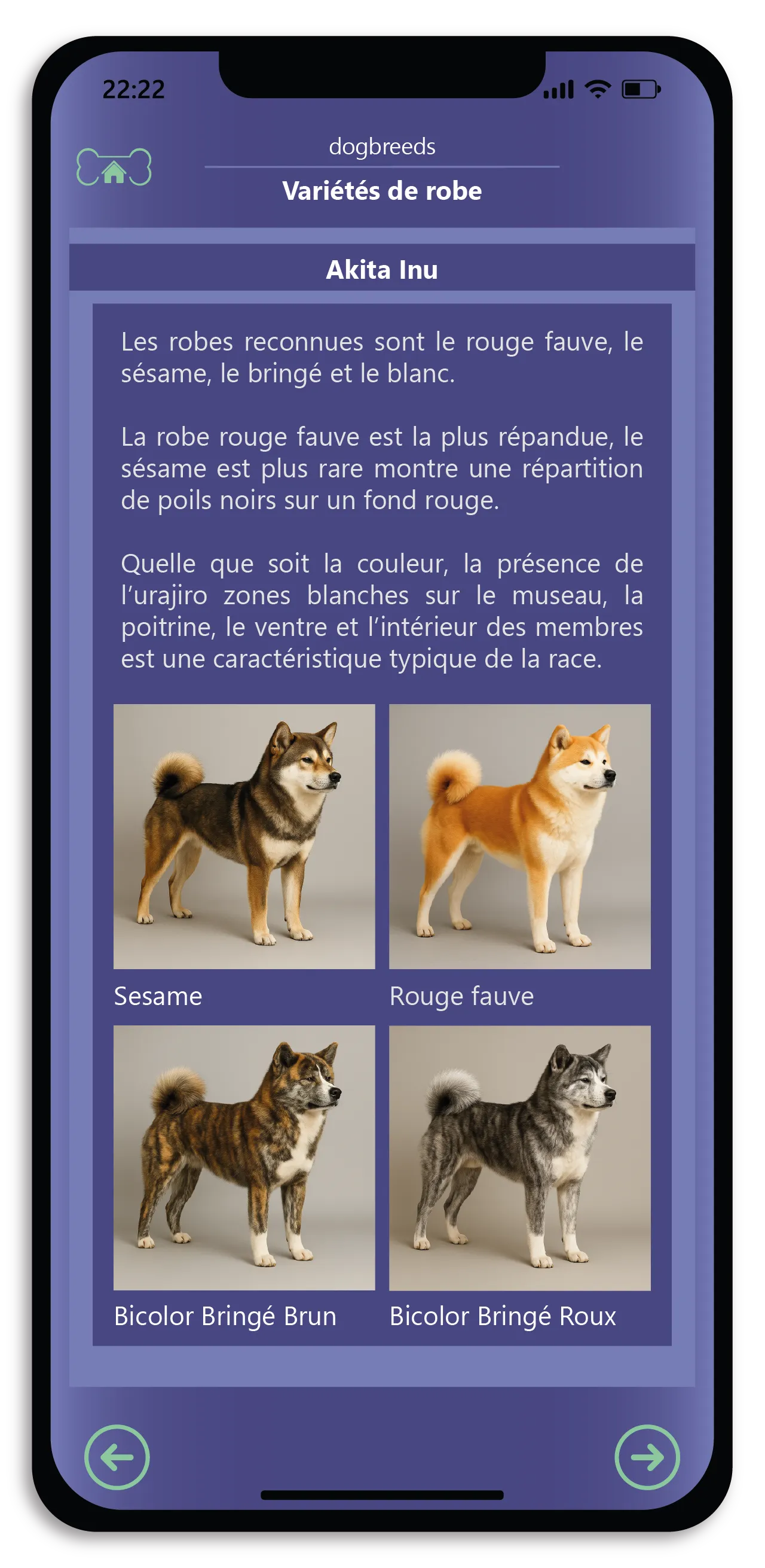 探索犬类世界的丰富多彩。 5