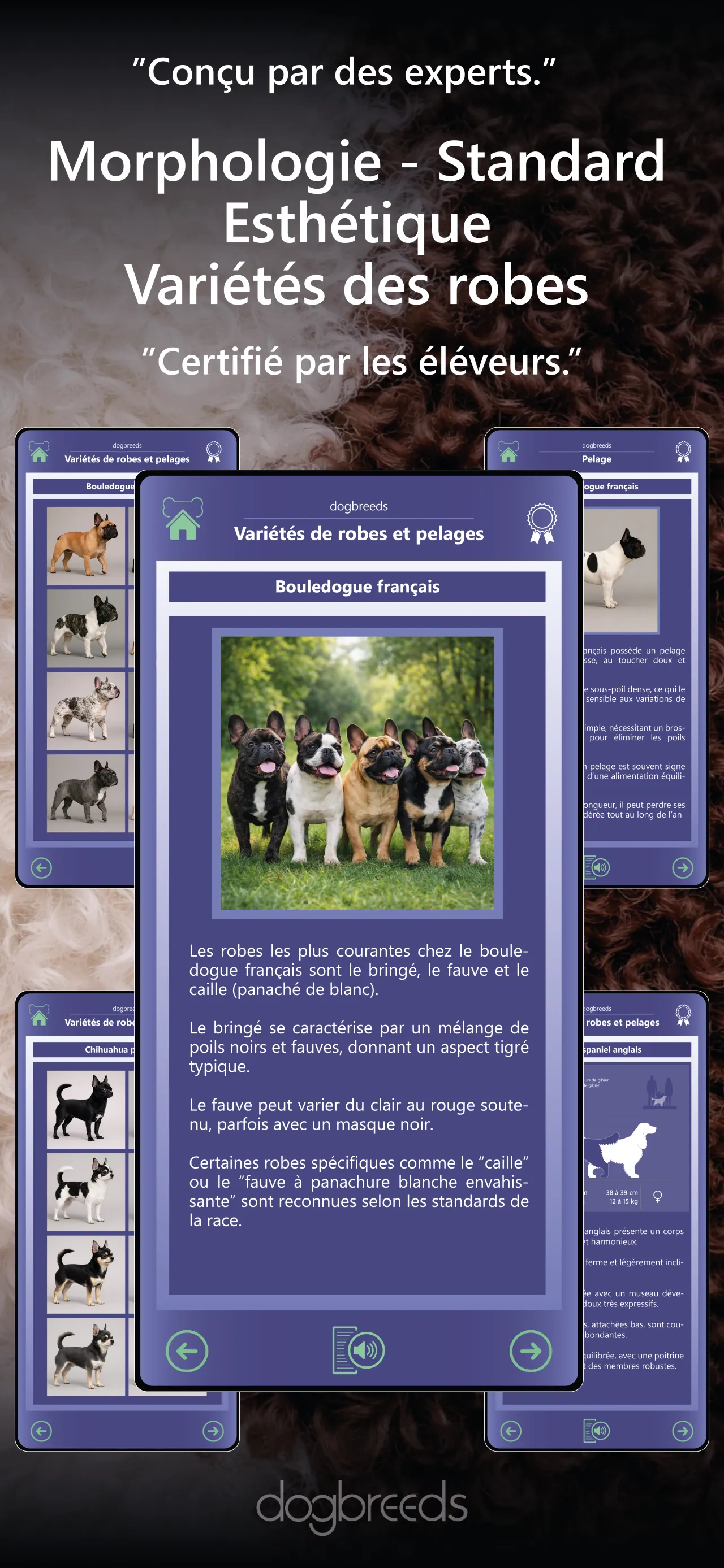 Discover the richness of the canine world. 6