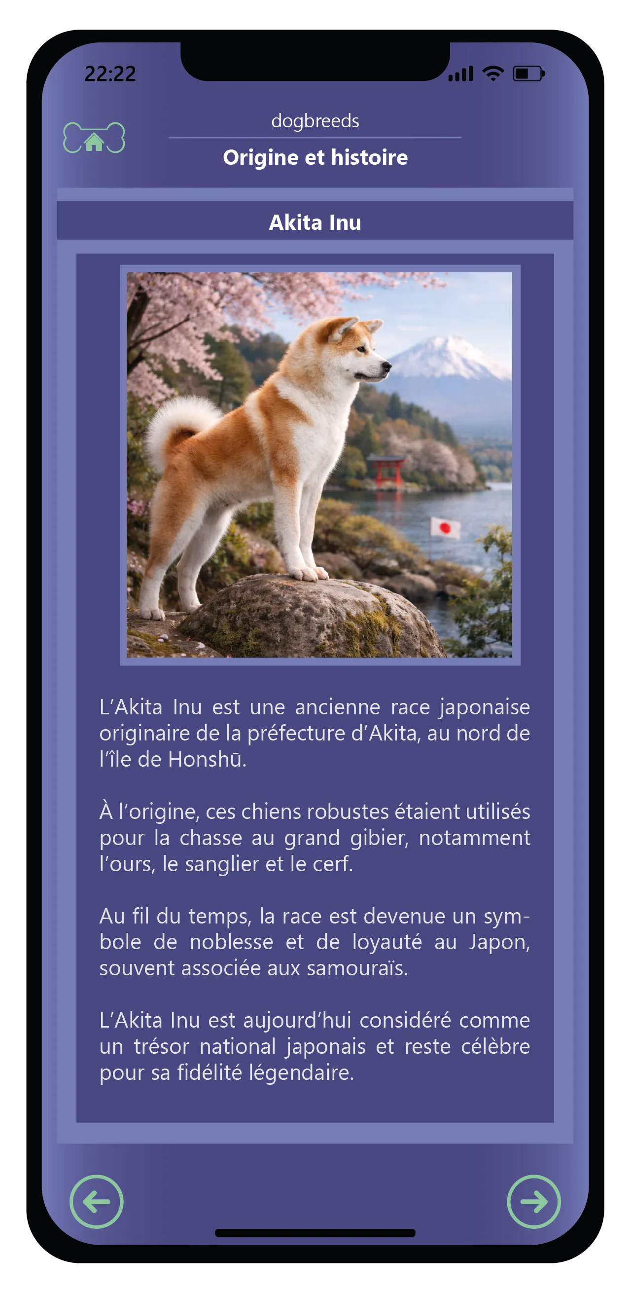 Discover the richness of the canine world. 7