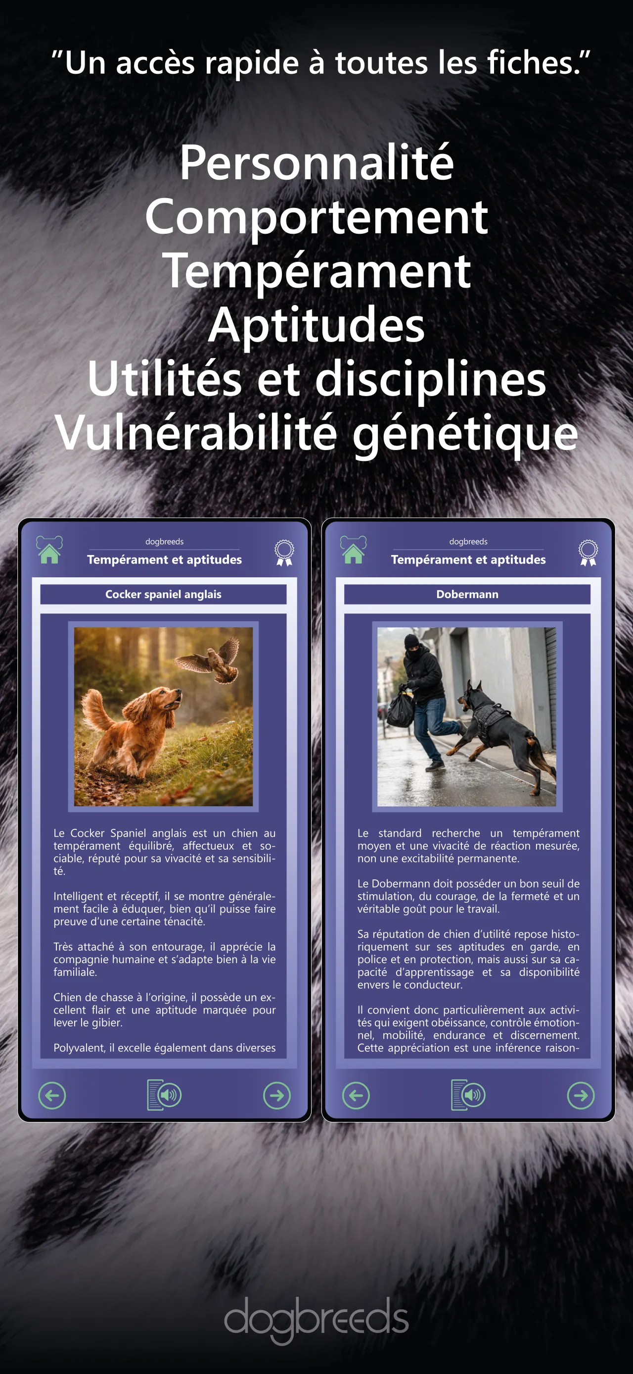 Discover the richness of the canine world. 7