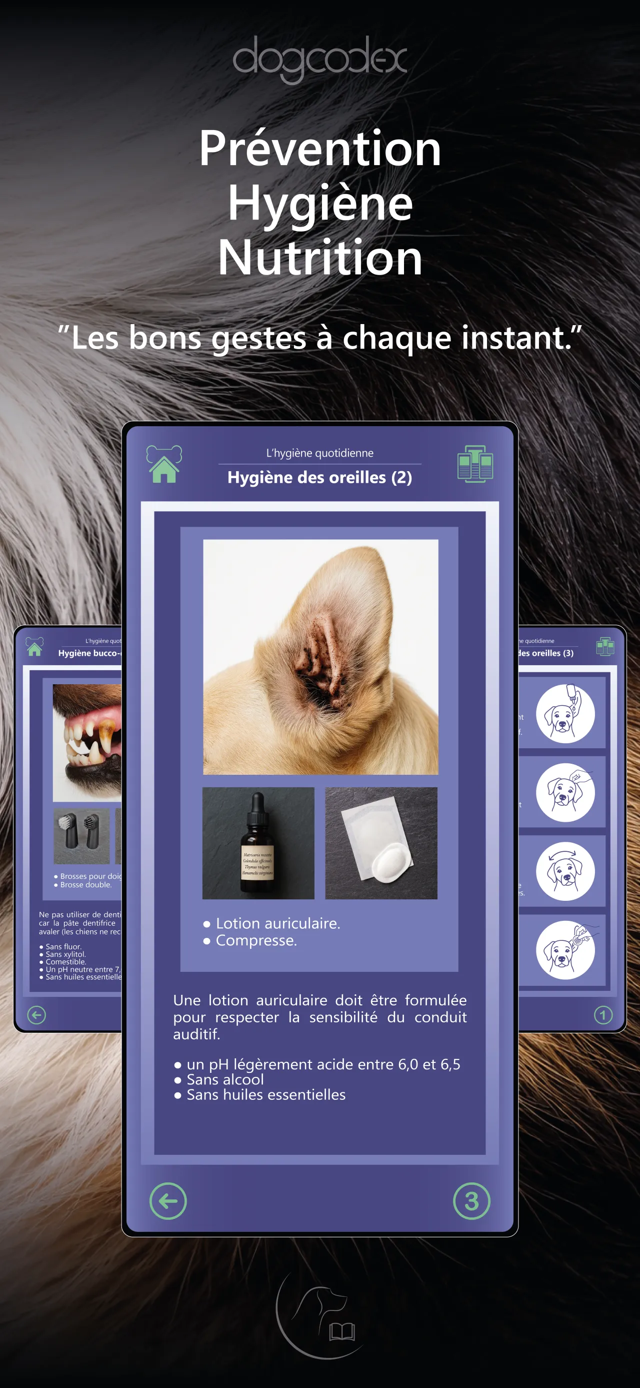 Master your dog's health on a daily basis. 3