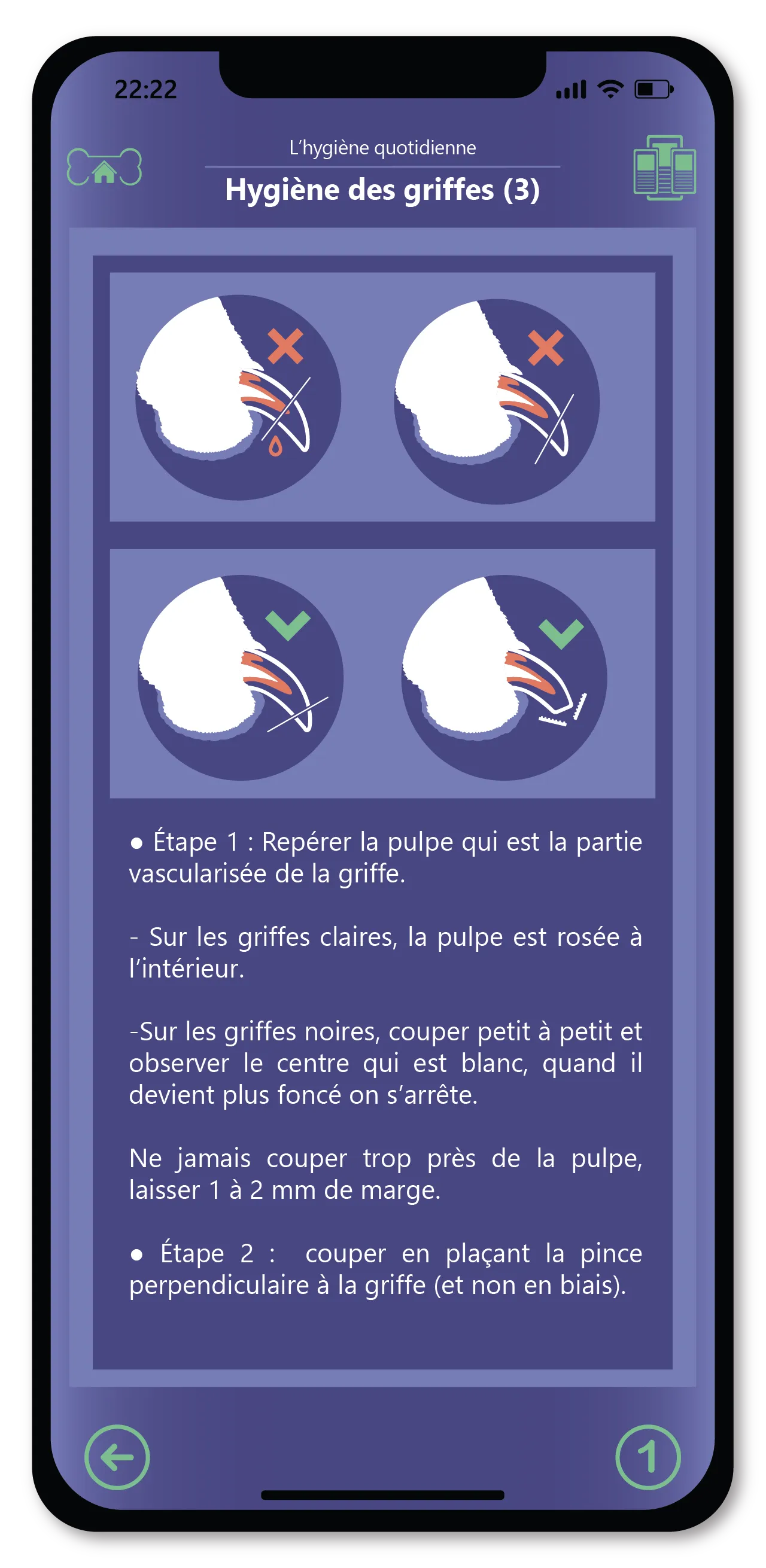 Domina la salud de tu perro día a día. 4