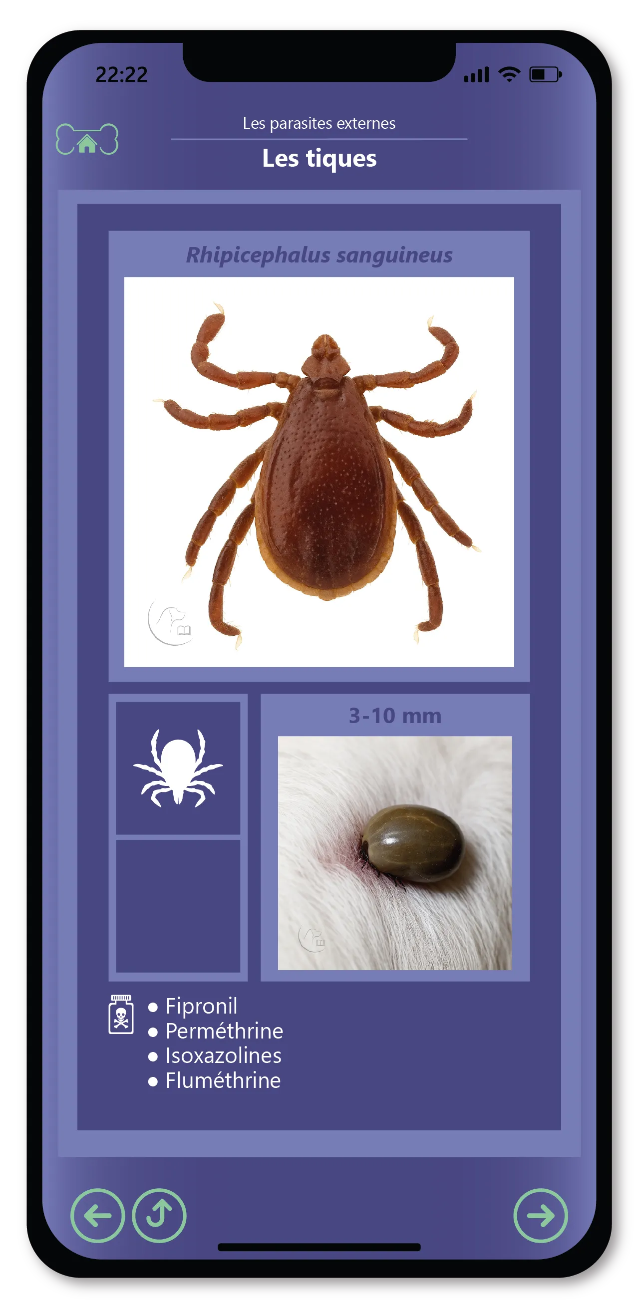 매일 당신의 강아지 건강을 관리하세요. 5