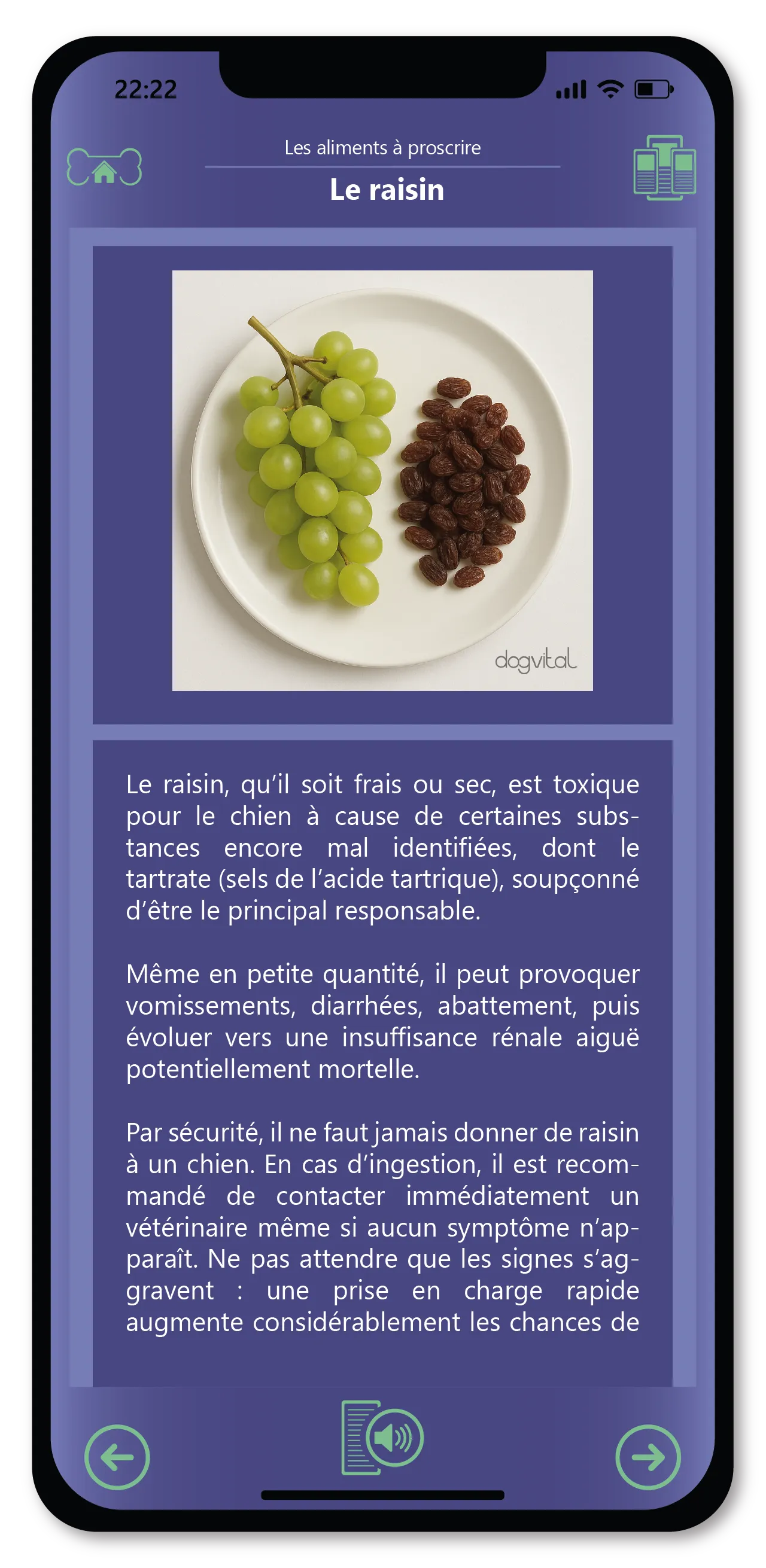 Domina la salud de tu perro día a día. 6