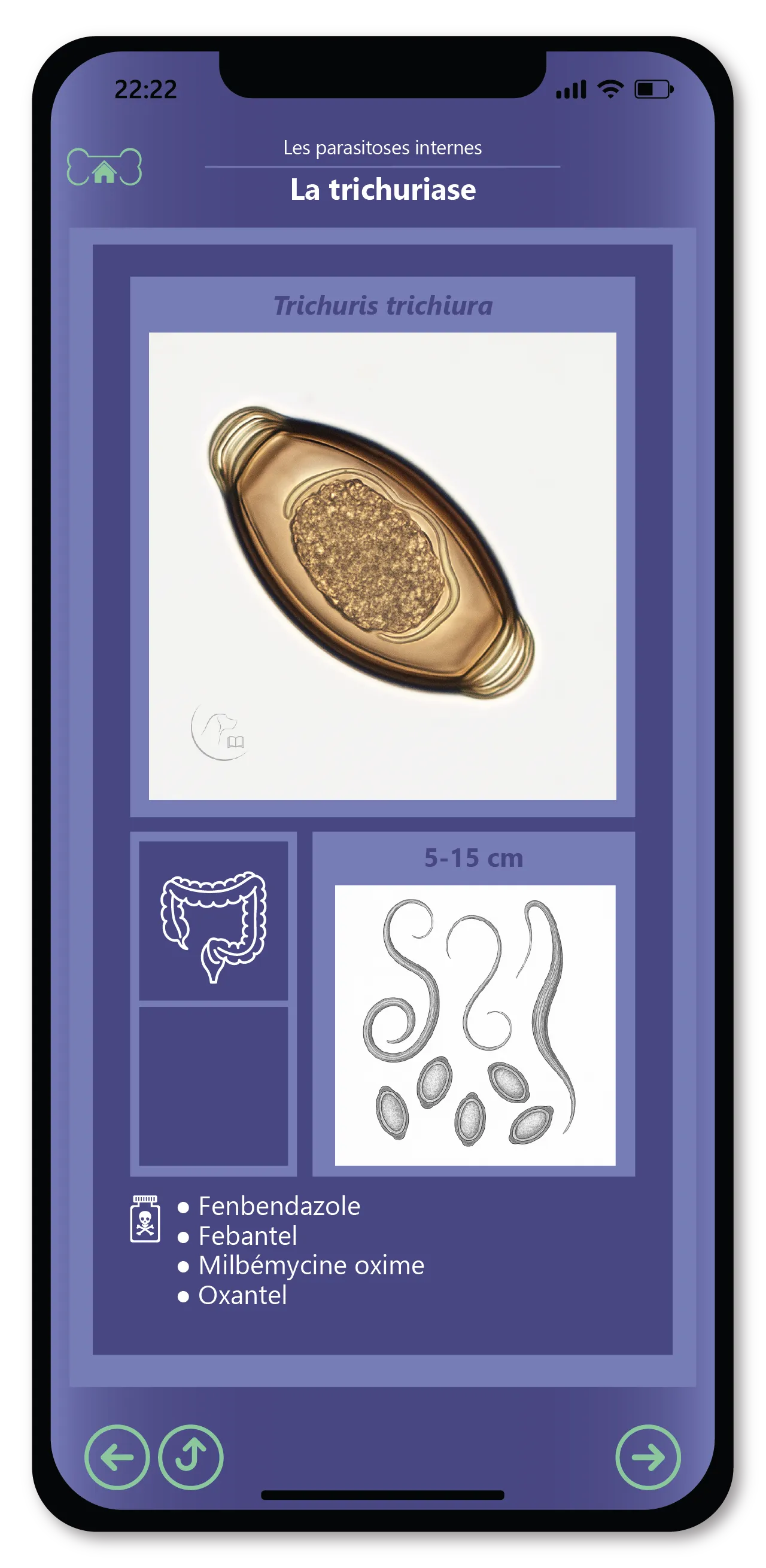 Domina la salud de tu perro día a día. 7