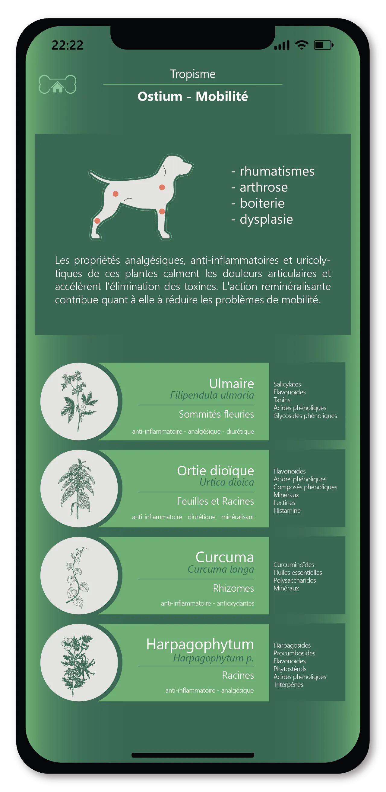 Einen natürlichen und ausgewogenen Ansatz wählen. 3