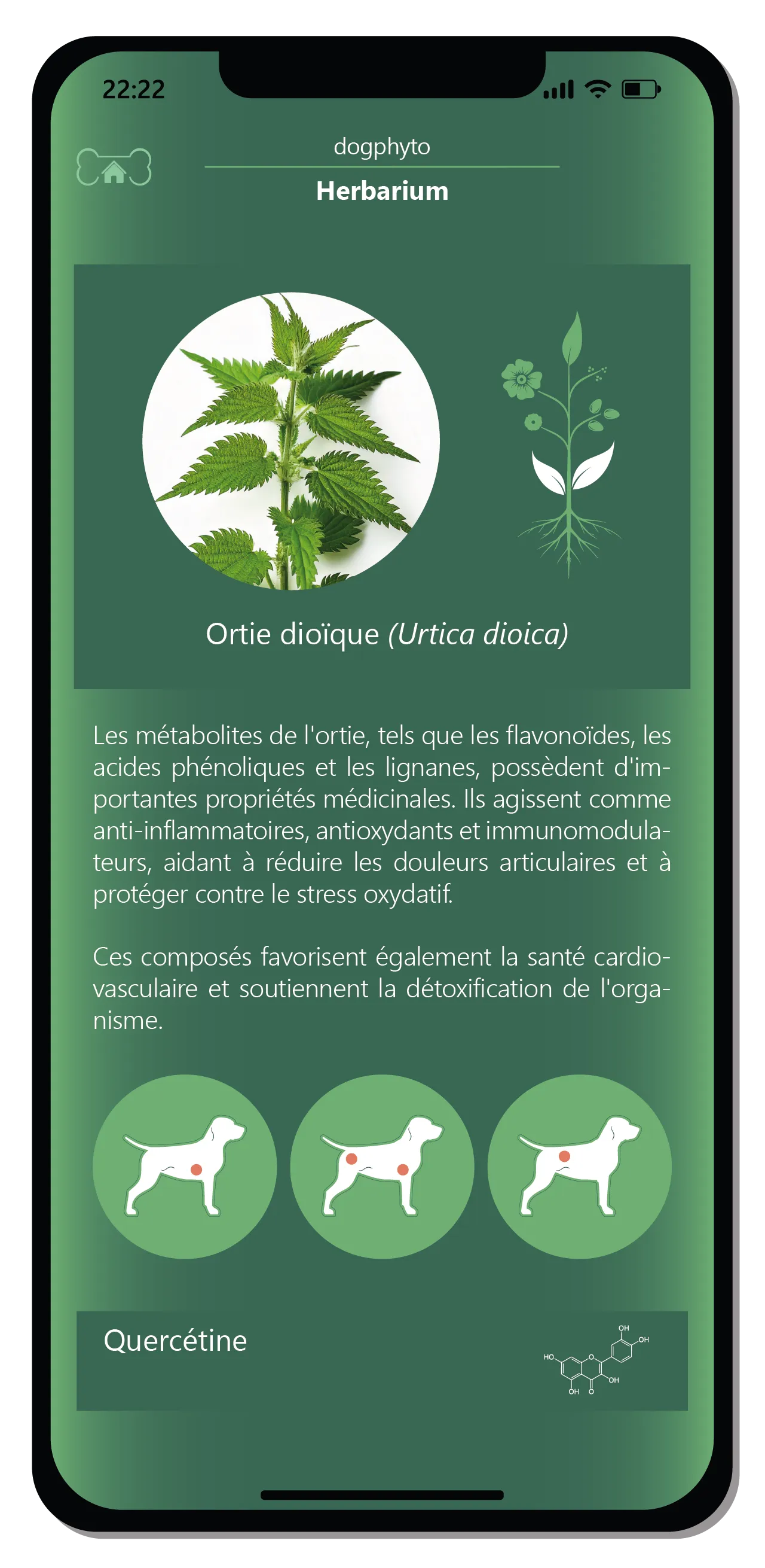 자연스럽고 균형 잡힌 접근 방식을 채택하세요. 4