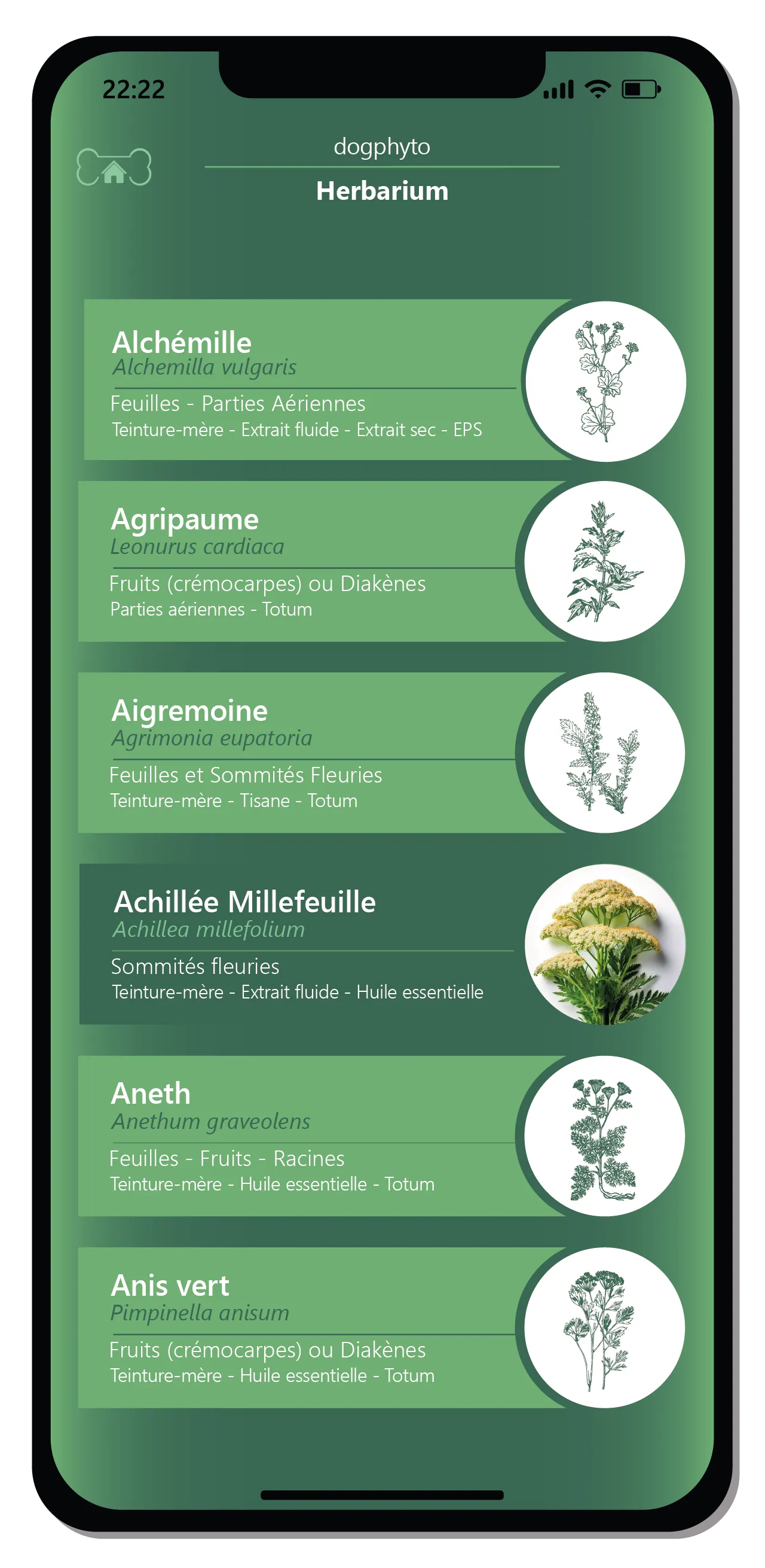 자연스럽고 균형 잡힌 접근 방식을 채택하세요. 5