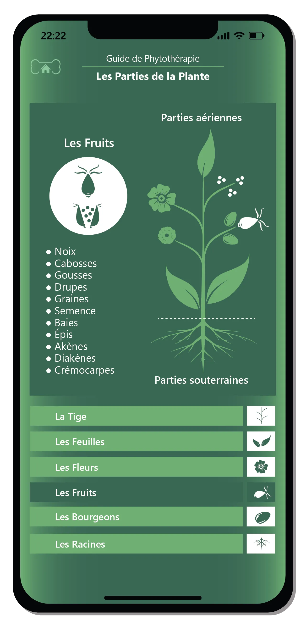 Einen natürlichen und ausgewogenen Ansatz wählen. 7