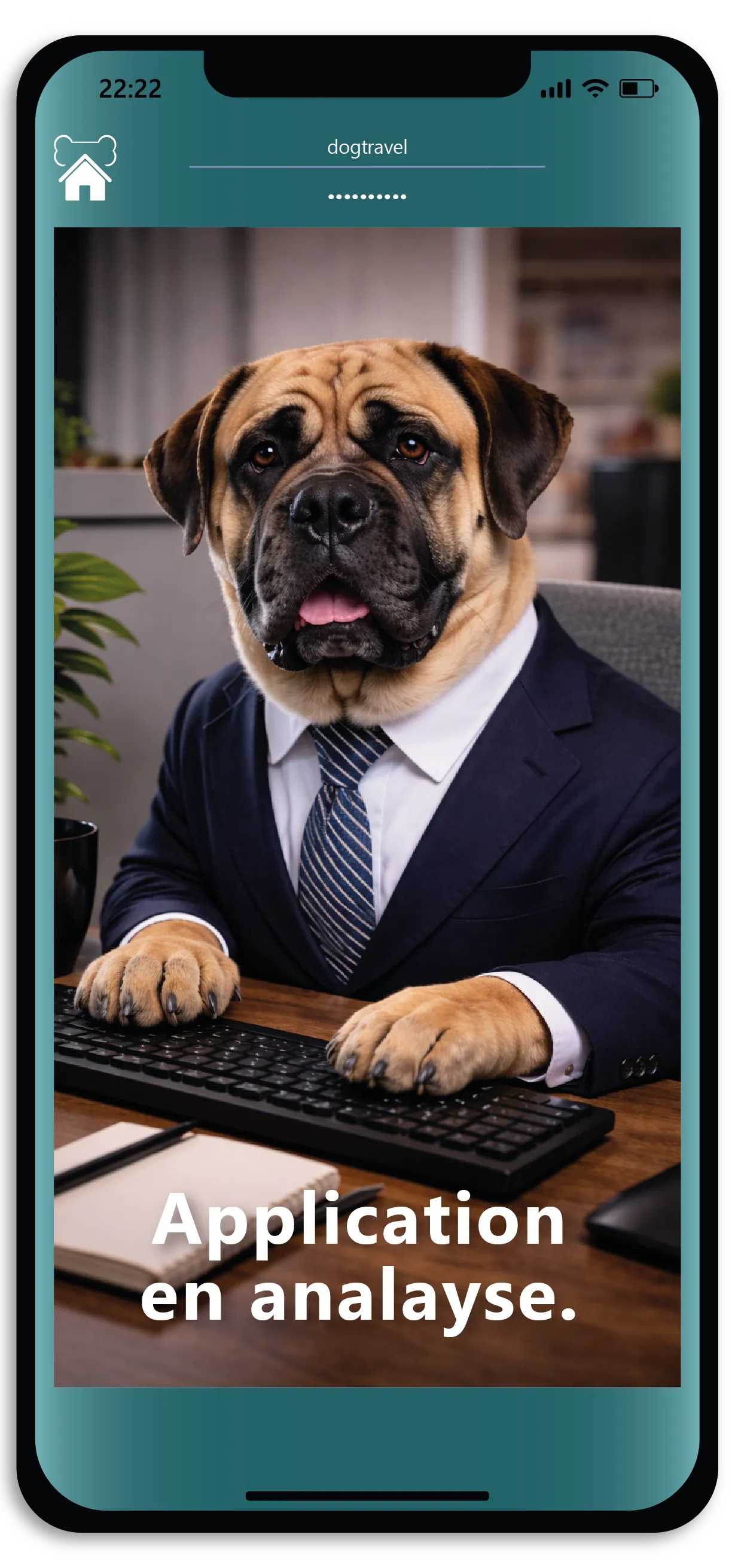 Organizar viajes tranquilos. 2