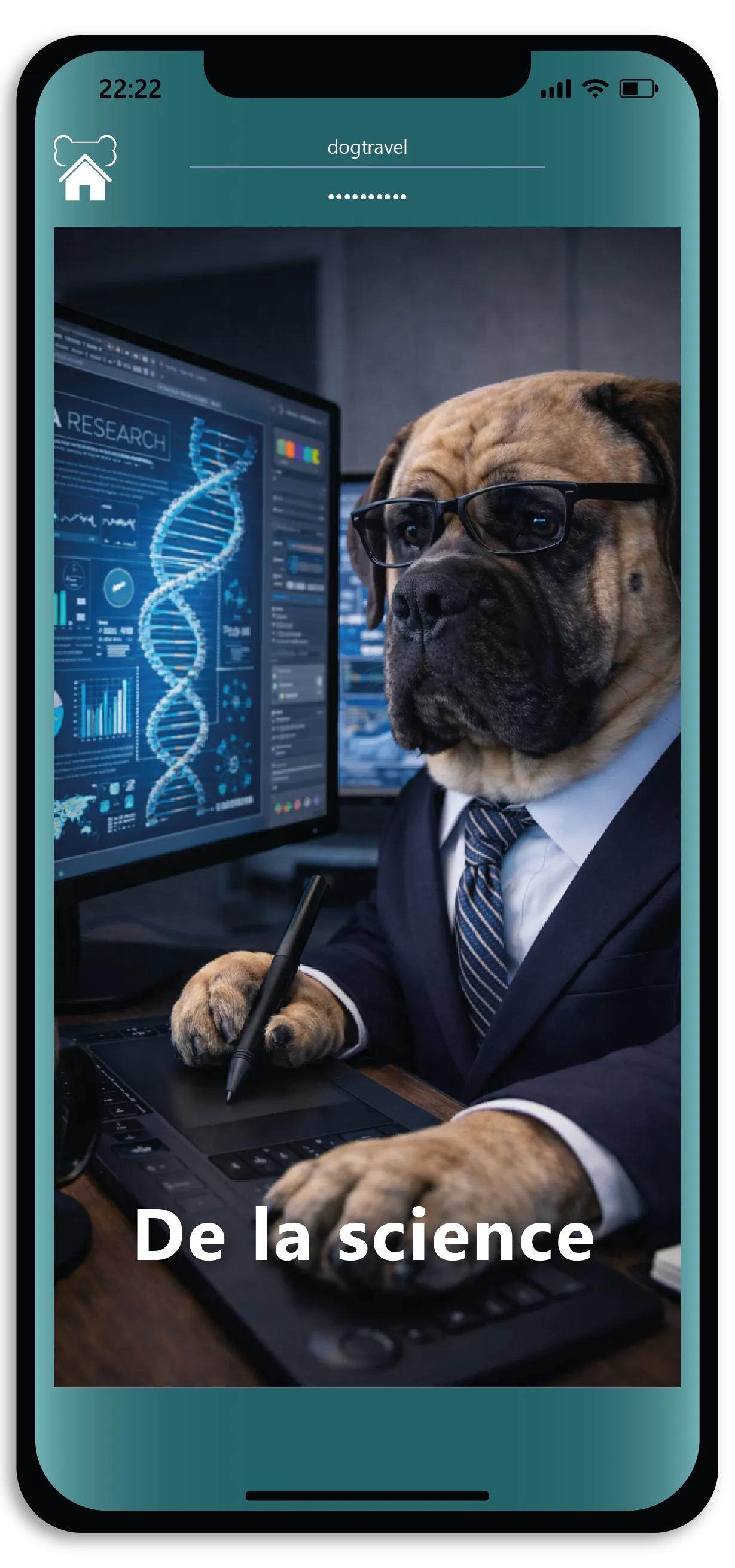 Organizar viajes tranquilos. 6