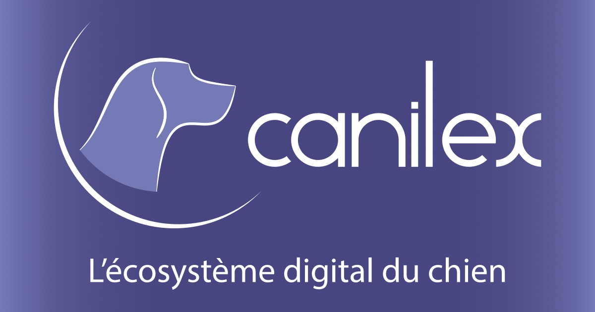 Canilex General Terms and Conditions